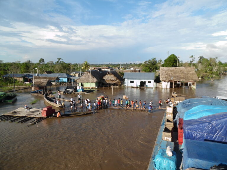 Amazonas Regenwald