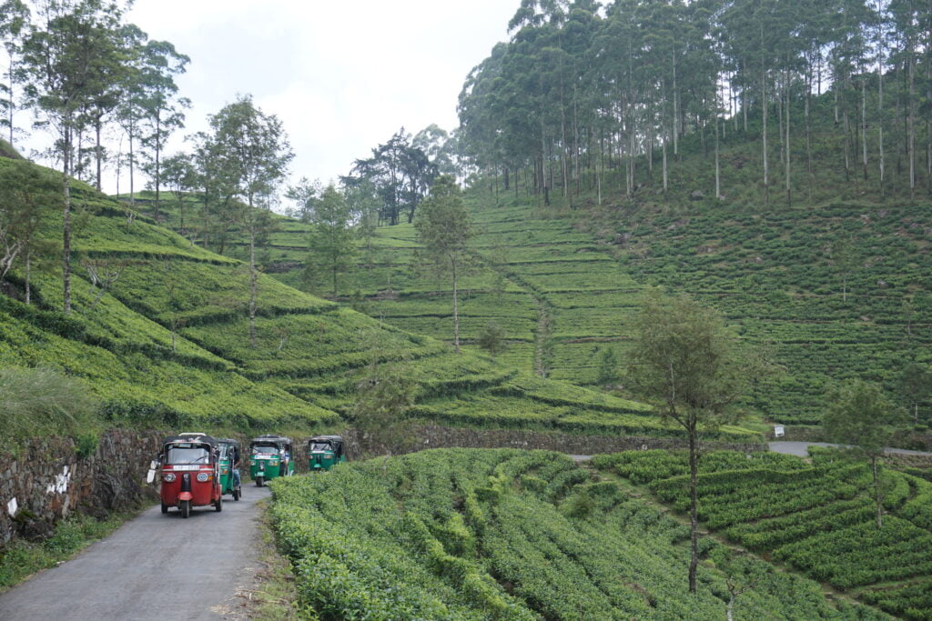 Tuktuk Sri Lanka