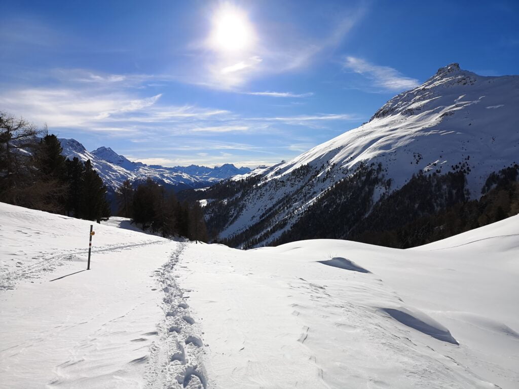 Schneelandschaft