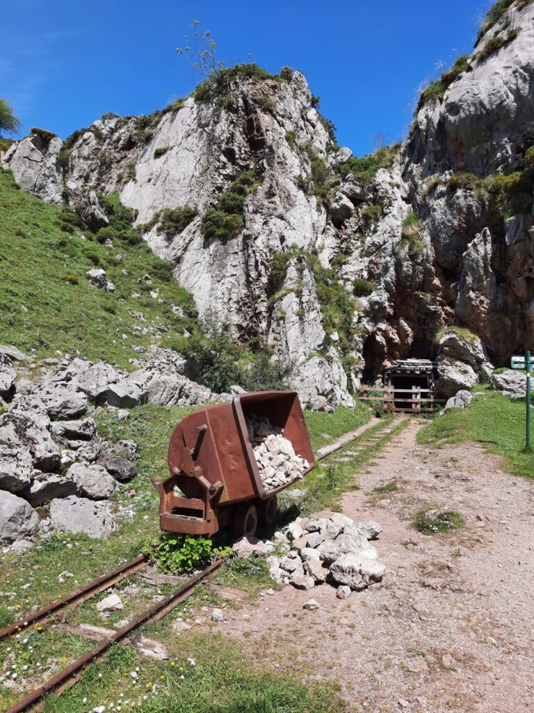 Mine Burrefera